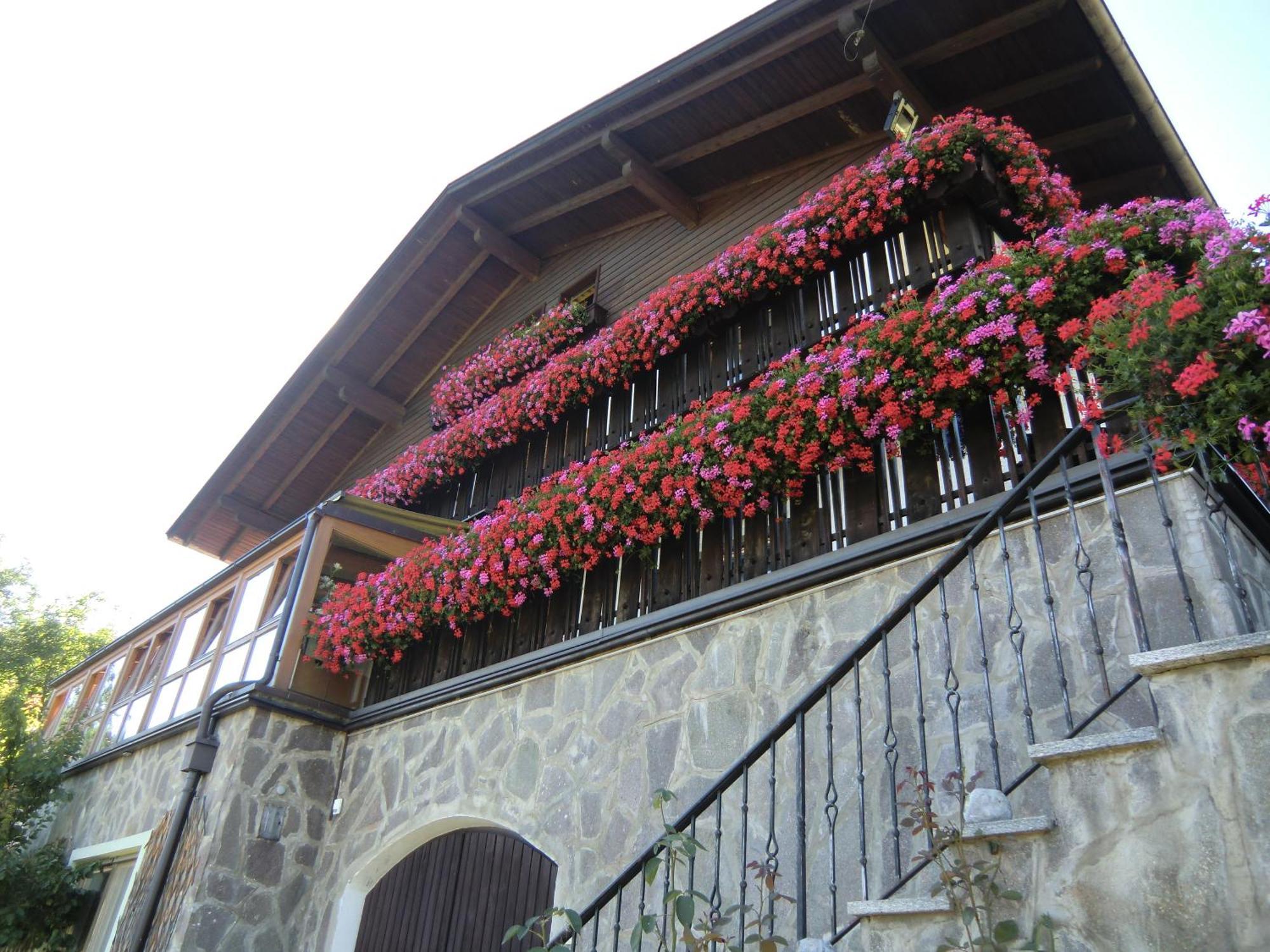 Alpenblick Bed & Breakfast Випитено Экстерьер фото